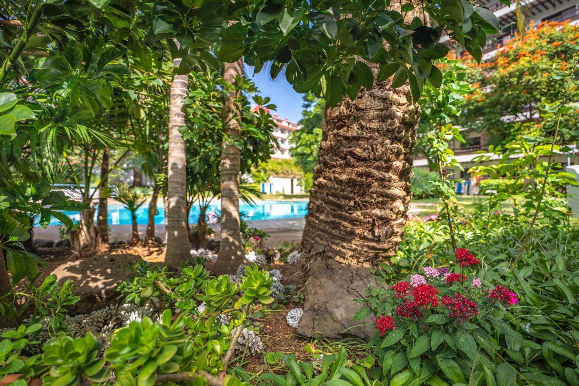 Coral Teide Mar Aparthotel Puerto de la Cruz  Exteriör bild